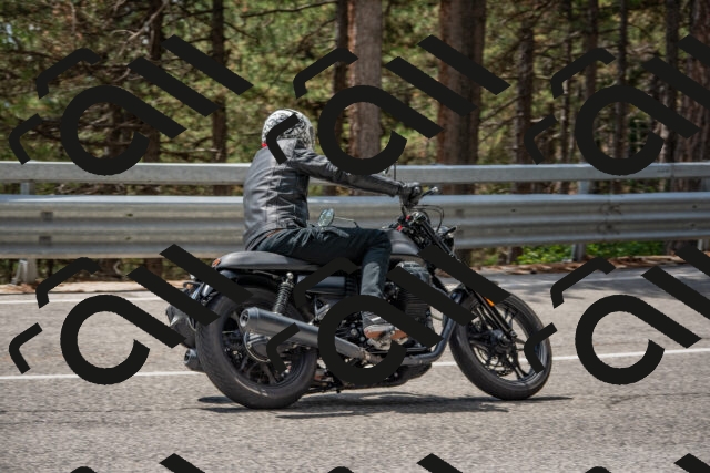 202508231311-DSC_6918_c4_