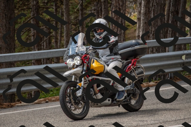 202508231315-DSC_6921_c4_