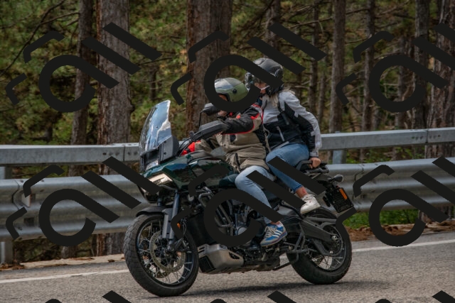 202508231315-DSC_6923_c4_