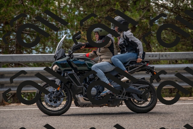 202508231315-DSC_6924_c4_