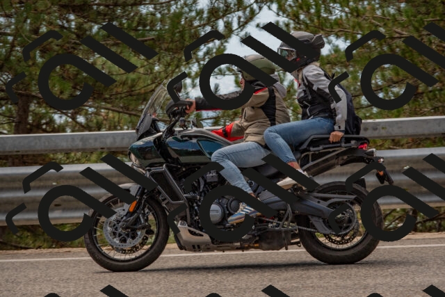 202508231315-DSC_6925_c4_