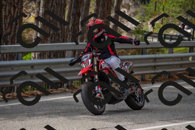 202508231317-DSC_6929_c4_