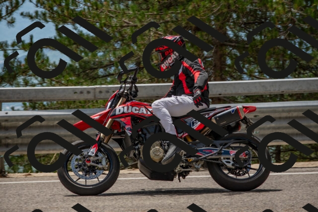 202508231317-DSC_6931_c4_