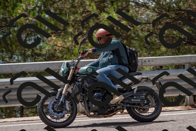 202508231317-DSC_6937_c4_