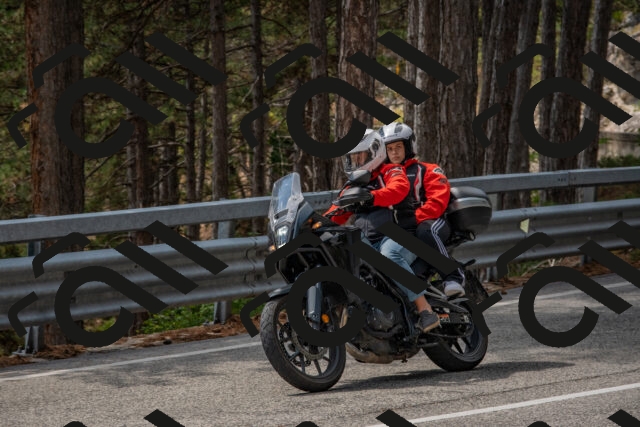 202508231317-DSC_6940_c4_