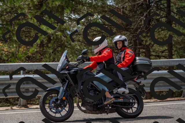 202508231317-DSC_6941_c4_