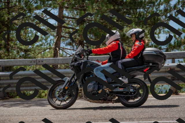 202508231317-DSC_6942_c4_