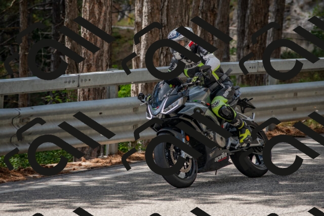 202508231320-DSC_6943_c4_