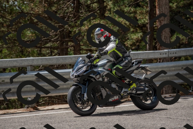 202508231320-DSC_6944_c4_