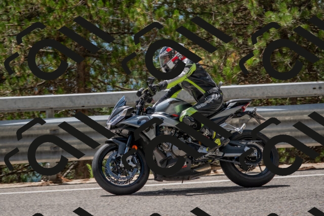 202508231320-DSC_6945_c4_