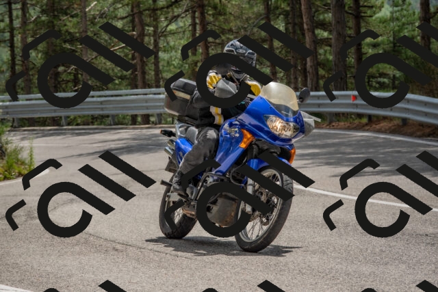 202508231321-DSC_6951_c4_