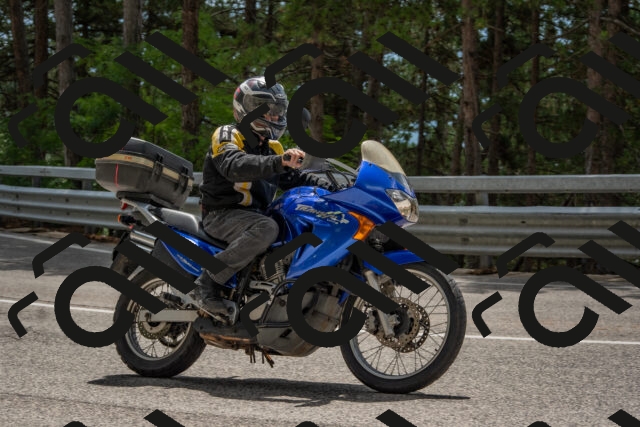 202508231321-DSC_6952_c4_