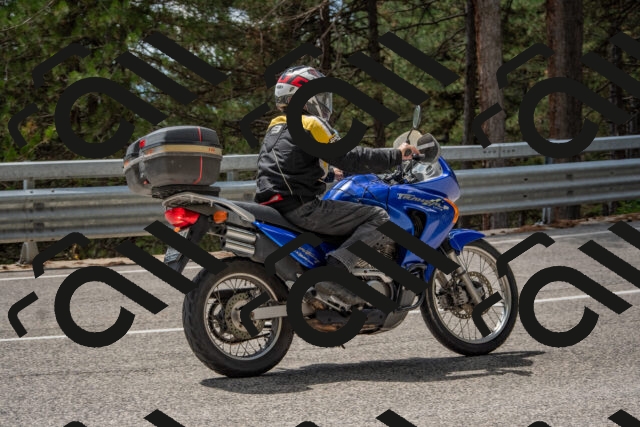 202508231321-DSC_6953_c4_