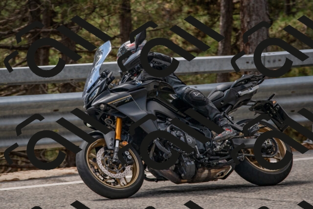 202508231321-DSC_6954_c4_