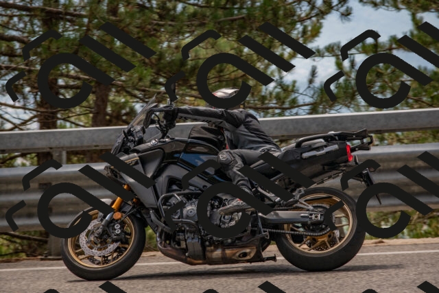 202508231321-DSC_6955_c4_