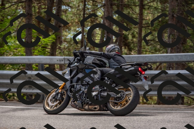 202508231321-DSC_6956_c4_