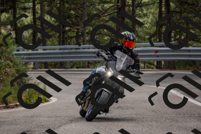 202508231325-DSC_6957_c4_