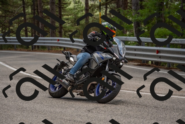 202508231325-DSC_6958_c4_