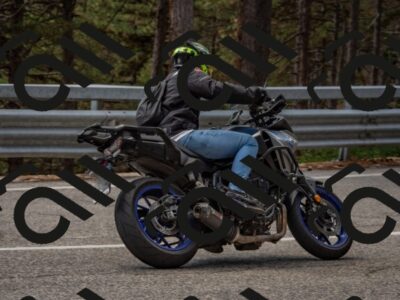 202508231325-DSC_6960_c4_