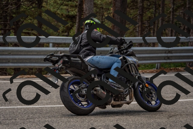 202508231325-DSC_6960_c4_