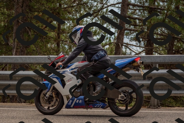 202508231326-DSC_6962_c4_