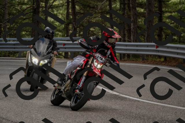 202508231328-DSC_6971_c4_