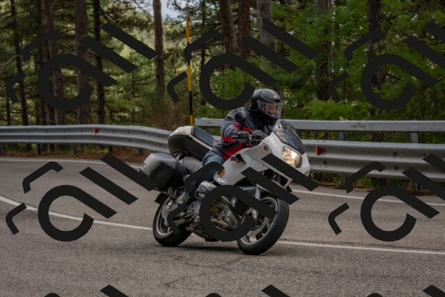 202508231329-DSC_6976_c4_