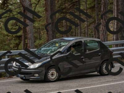 202508231329-DSC_6981_c4_