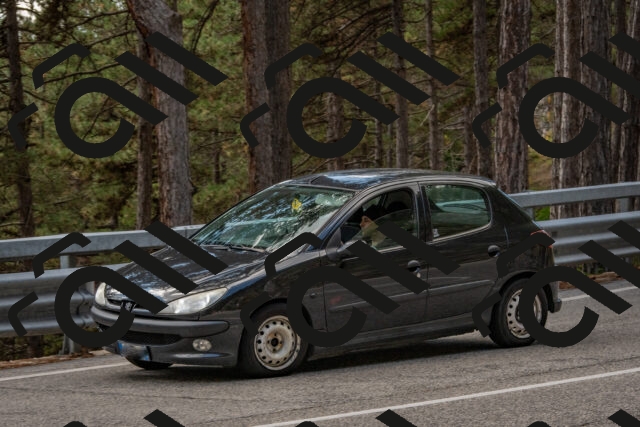 202508231329-DSC_6981_c4_