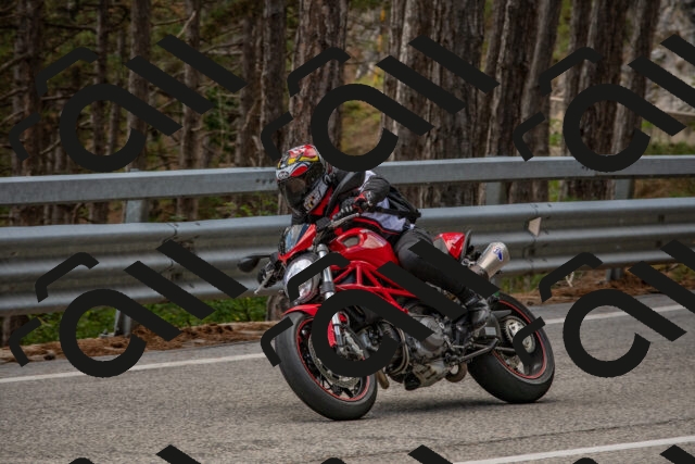 202508231329-DSC_6989_c4_