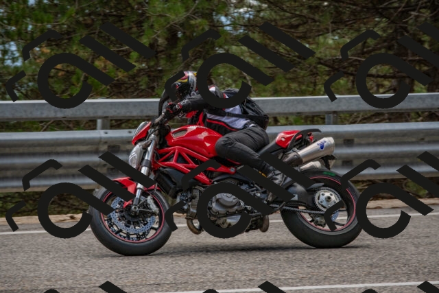 202508231329-DSC_6990_c4_