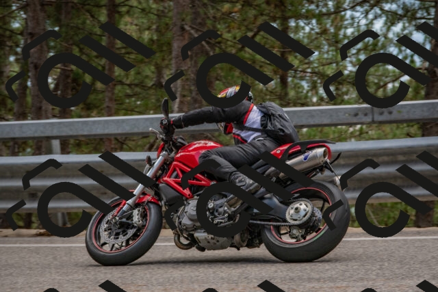 202508231329-DSC_6991_c4_