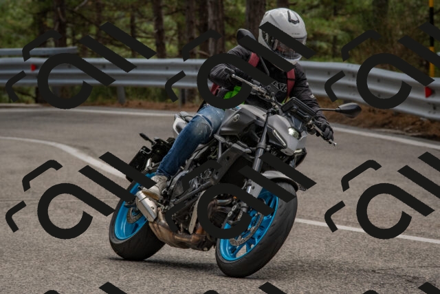 202508231331-DSC_7004_c4_