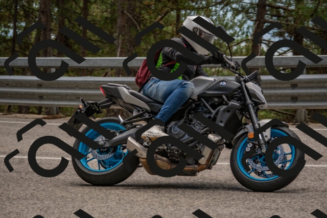 202508231331-DSC_7005_c4_