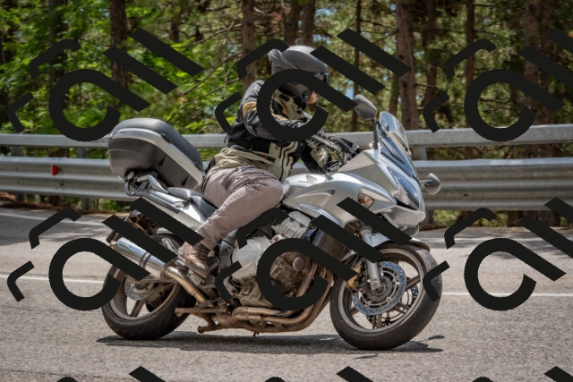 202508231335-DSC_7013_c4_