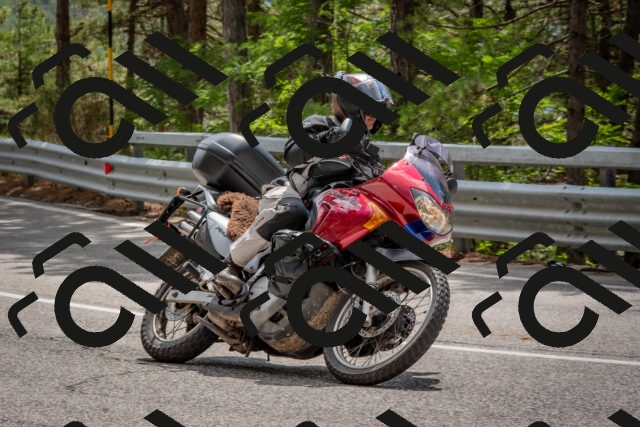 202508231335-DSC_7017_c4_