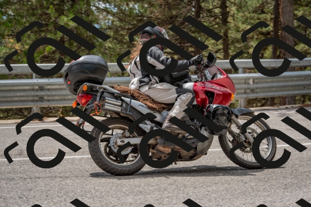 202508231336-DSC_7018_c4_