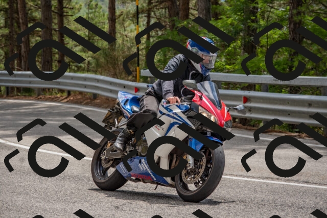 202508231336-DSC_7019_c4_