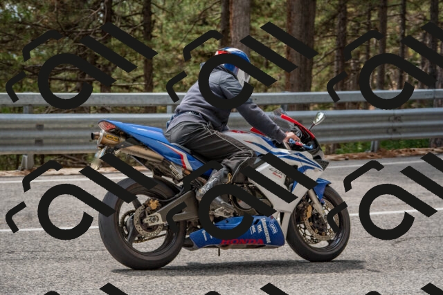 202508231336-DSC_7021_c4_