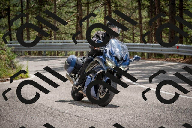 202508231337-DSC_7022_c4_