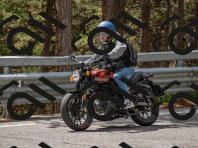 202508231337-DSC_7027_c4_