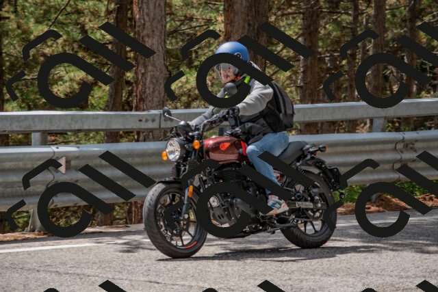 202508231337-DSC_7027_c4_