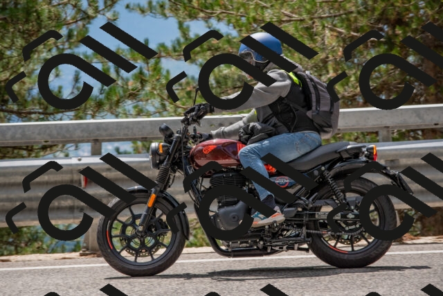 202508231337-DSC_7028_c4_