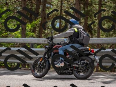 202508231337-DSC_7029_c4_