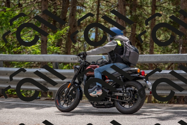 202508231337-DSC_7029_c4_