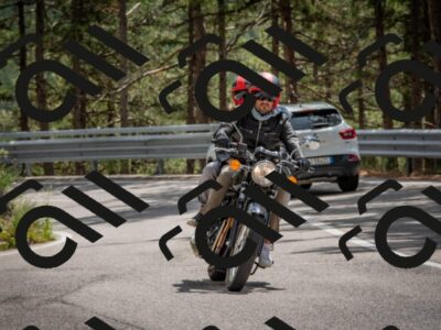 202508231341-DSC_7030_c4_