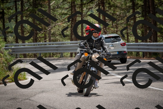 202508231341-DSC_7030_c4_