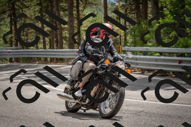 202508231341-DSC_7031_c4_