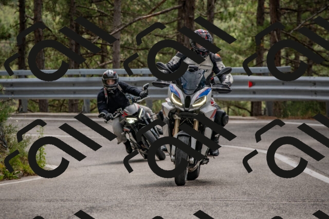 202508231343-DSC_7034_c4_