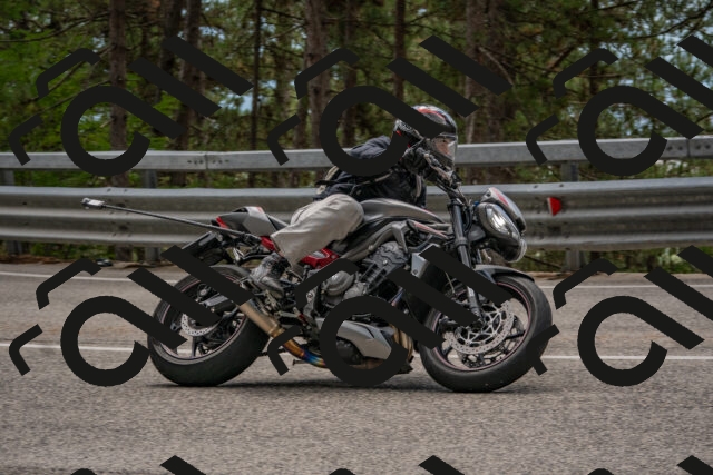 202508231343-DSC_7038_c4_